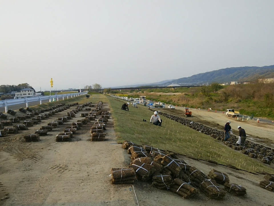 木津川祝園地区法覆護岸他工事　写真8